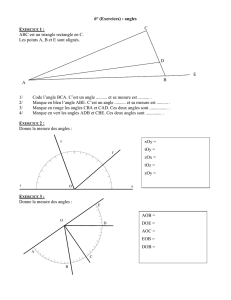 6° (Exercices) : angles ABC est un triangle rectangle en C. Les