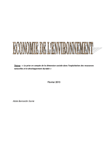 Economie de l`environnement