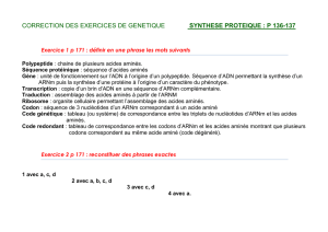 correction des exercices de genetique synthese proteique