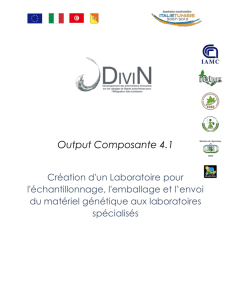 Output 4.1_DIVIN
