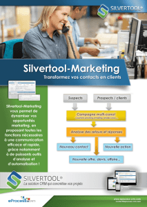 Silvertool-Marketing