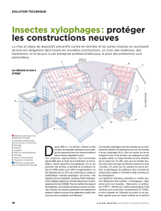 Insectes xylophages = protégrer les constructions neuves