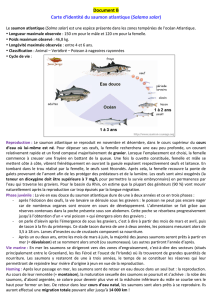 Document B Carte d`identité du saumon atlantique (Salamo salar)