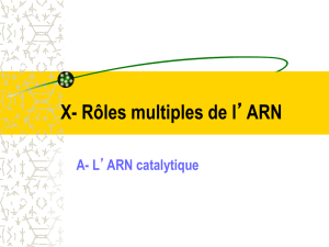 X- Rôles multiples de l`ARN
