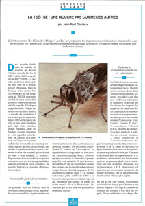 La Tsé-tsé / Insectes n° 99