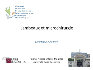 Lambeaux et Micro-Chirurgie - 08-09