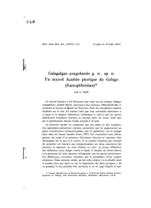 Galagalges congolensis g. n., sp. n. Un nouvel Acarien psorique du