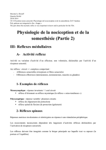 Physiologie de la nociception et de la somesthésie (Partie 2)
