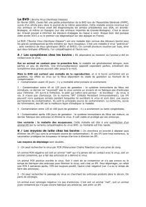 BVD article Bernard - Association Française Lamas Alpagas