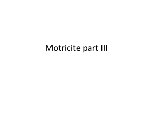 Motricite part III