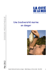 Une biodiversité marine en danger - Médiathèque de La Cité de la
