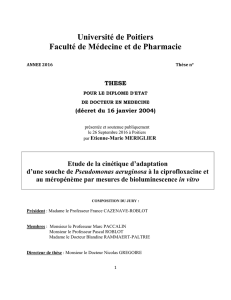 Université de Poitiers Faculté de Médecine et de Pharmacie