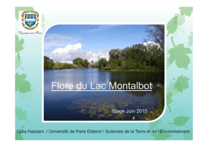 Flore du Lac Montalbot - Ville de Vigneux-sur
