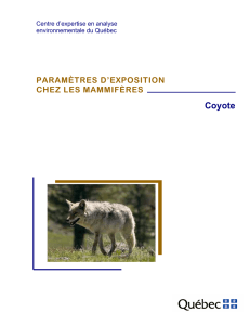 Paramètres d`exposition chez les mammifères – Coyote. Fiche