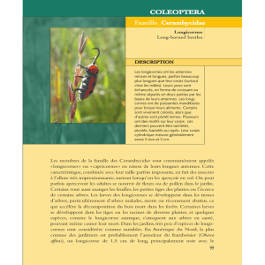 Version originale: pdf - Les insectes de nos jardins