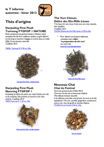 Thés d`origine - le T Fine Tea Trading Company SA