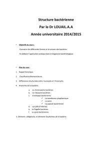 Structure bactérienne Par le Dr LOUAIL.A.A Année universitaire