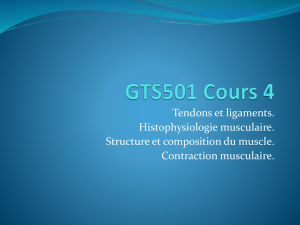 Cours4