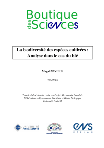 La biodiversité des espèces cultivées : Analyse dans le cas du blé