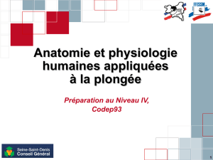 Cours 5 Anatomie Physiologie -niveau 4