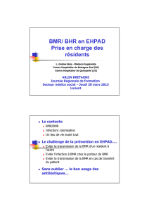 BMR/ BHR en EHPAD Prise en charge des résidents