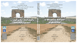 réseau routier dans le Maghreb Antique
