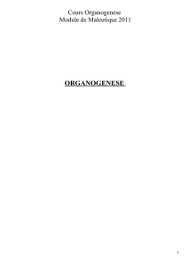 organogenese