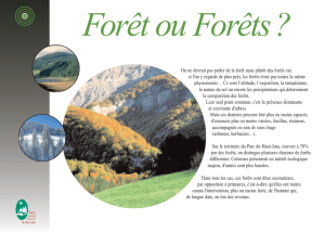Forêt ou Forêts - Parc naturel régional du Haut-Jura