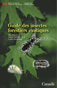 Guide des insectes forestiers exotiques