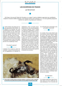 Les scorpions de France / Insectes n° 98