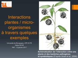 rencontres plantes bactéries
