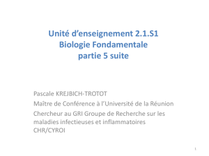 Unité d`enseignement 2.1.S1 Biologie - Fichier
