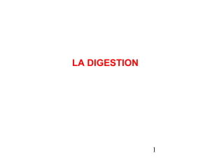 la digestion - carabinsnicois.fr