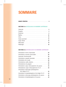 SOmmAiRe