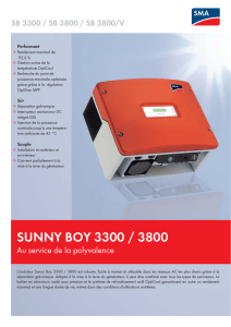 SUNNY BOY 3300 / 3800 / 3800/V - Au service de