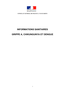 Guide sanitaire - Ambassade de France à Madagascar