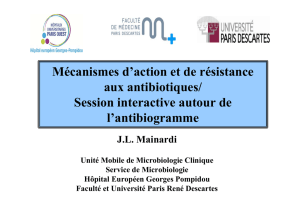 Mécanismes d`action et de résistance aux antibiotiques