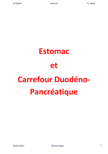 Estomac et Carrefour Duodéno- Pancréatique