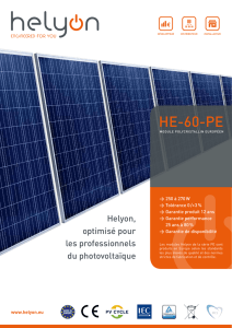 HE-60-PE - Hawi Energy