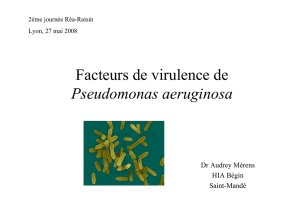 Facteurs de virulence de Pseudomonas aeruginosa - CClin Sud-Est