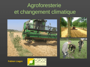Agroforesterie et changement climatique