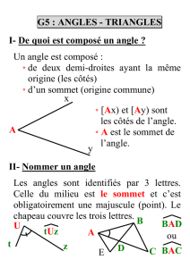 G5 : ANGLES - TRIANGLES I- De quoi est composé un angle ? Un
