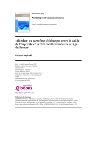 PDF del capitolo - OpenEdition Books