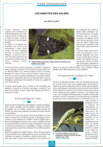 Les insectes des aulnes / Insectes n° 92