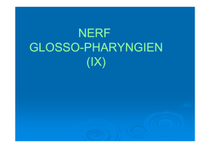 NERF GLOSSO-PHARYNGIEN [Mode de compatibilité]