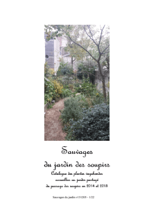Catalogue des sauvages du jardin (décembre 2015)