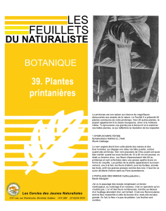 39- Plantes printanières - Les cercles des jeunes naturalistes