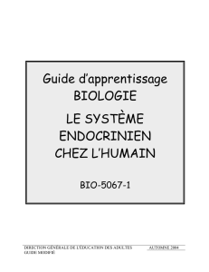 Guide d`apprentissage BIOLOGIE LE SYSTÈME ENDOCRINIEN