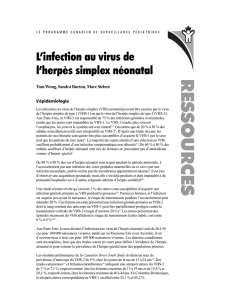 Infection au virus de l`herpès simplex néonatal