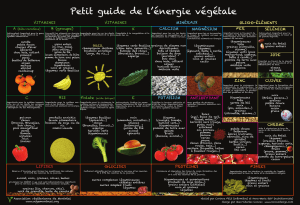 Petit guide de l`énergie végétale